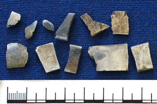 Ivory fragments (AN1934.242)
