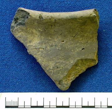 Pottery sherd (AN1934.245)