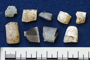 Ivory fragments (AN1935.407)