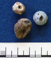Beads (AN1935.407)