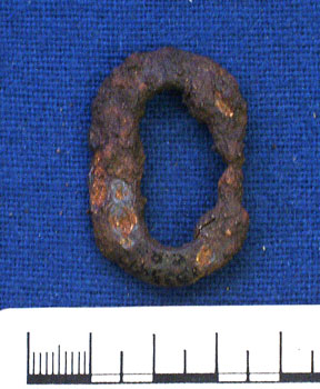 buckle (AN1935.412)