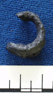 Finger ring (AN1935.55)