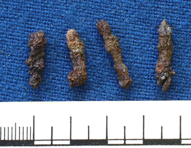 Pins (AN1935.61c)