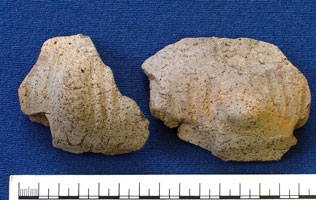Pottery sherds (AN1935.731a)