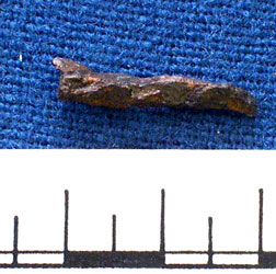 Iron pin
