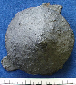 Shield boss (AN1942.191)