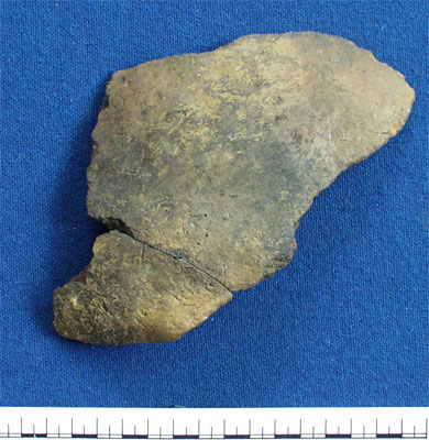 Fragment of plain urn (AN1886.1405)