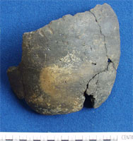 Urn fragments (AN1886.1406a)