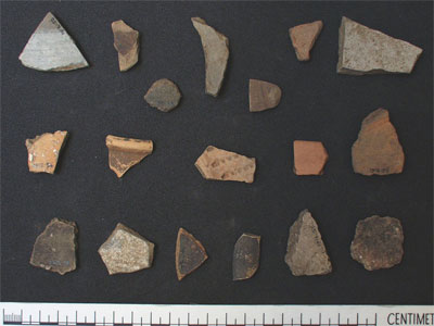 Pottery sherds (AN1912.56)