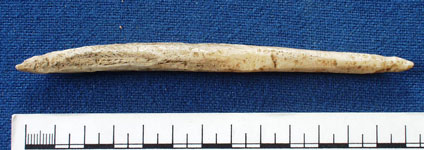Bone pin  (AN1923.851)