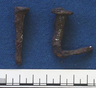 Nail (AN1926.77)