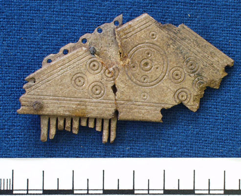 Comb fragment (AN1926.81)