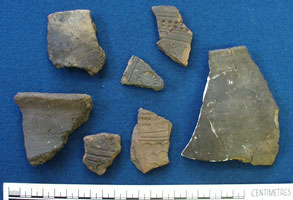 Pottery sherds (AN1933.528)