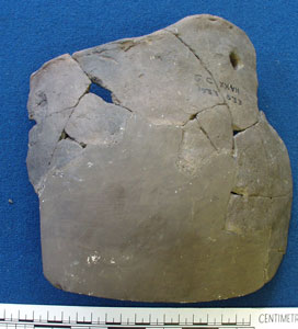 Pottery sherd (AN1933.533)