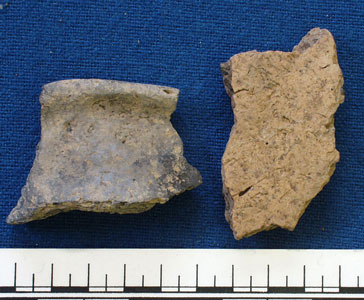 Pot sherds (AN1966.1912)