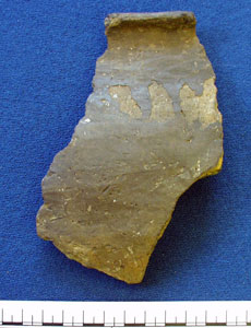 Pottery sherd (AN1966.1927)