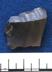 Flint flake (AN1966.1929)