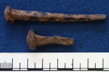 Iron nails (AN1968.1473)