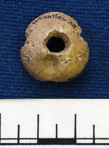 Spindle whorl (AN1883.173b)