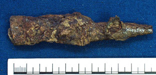 Knife (AN1883.31c)