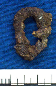 Buckle (AN1883.31d)