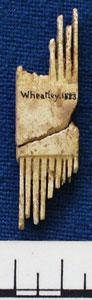 Bone comb 