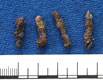 Burial 117 - Click to see more images