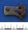Burial 30 - Click to see more images