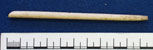 Bone pin (AN1933.545)